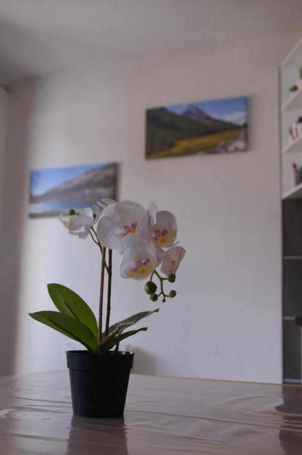 Le Guisanel Apartment บรีอองซง ภายนอก รูปภาพ